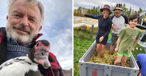 sam neills cutest photos with his grandkids farm animals