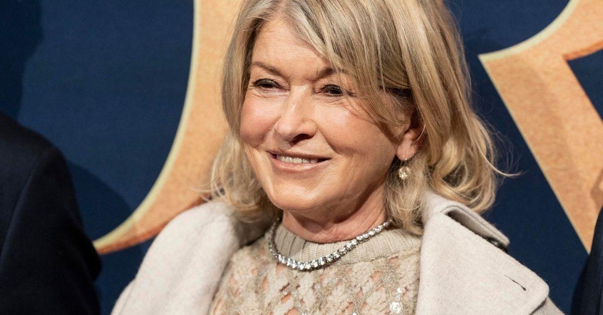 martha stewart andy stewart