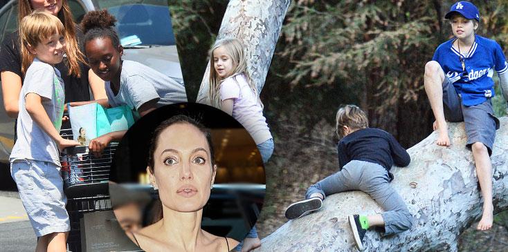 Angelina jolie divorce brad pitt kids shiloh park uncle james haven ok long