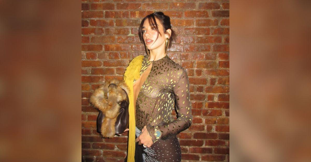 image of Dua Lipa freed the nipple in a sheer top.
