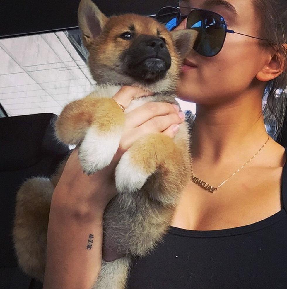 Hailey baldwin new puppy