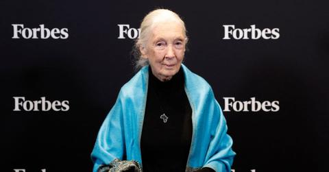 jane goodall family husband sibling son