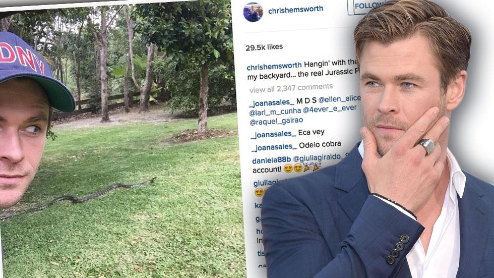Chris hemsworth joins instagram