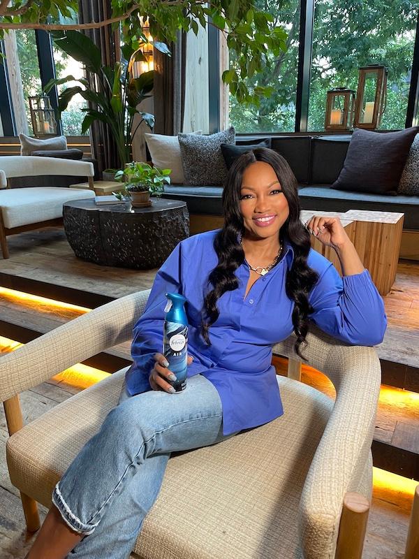 garcelle beauvais x febreze