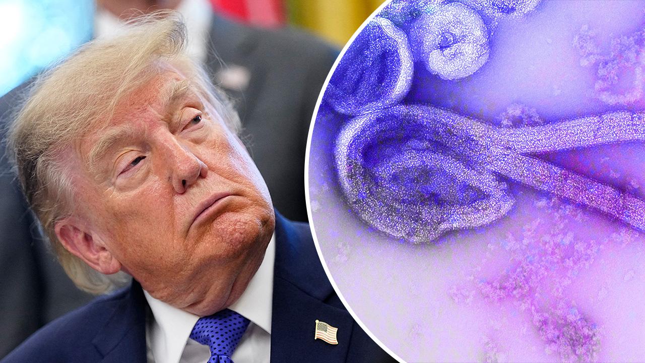 Composite photo of Donald Trump and Ebola.