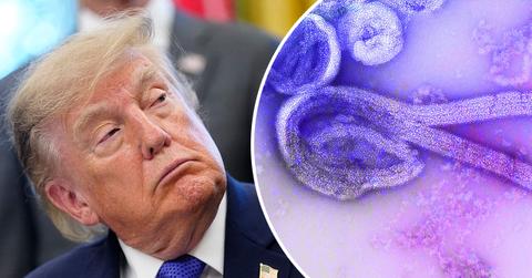 Composite photo of Donald Trump and Ebola.