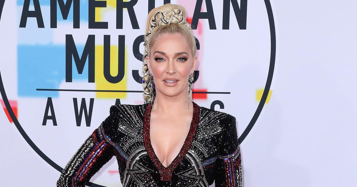 Erika Jayne's Financial Records Reveal She Spent $156K On Company With The  Same Name As Lisa Rinna's Daughters' Clothing Line!