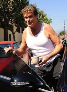 2010__09__FP_5747583_Hasselhoff_David_VAH_091710 218&#215;300.jpg