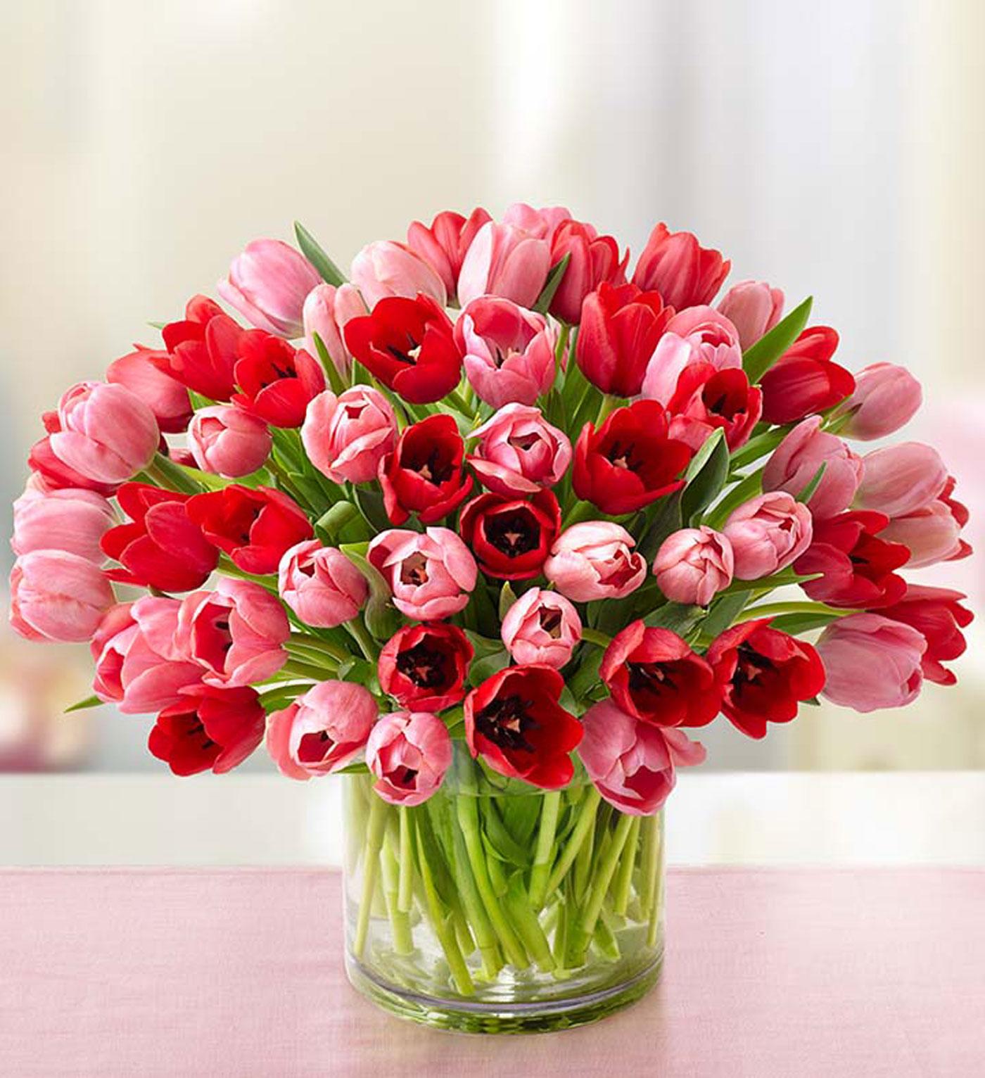 Sweetest Love Tulips, 60 Stems
142464