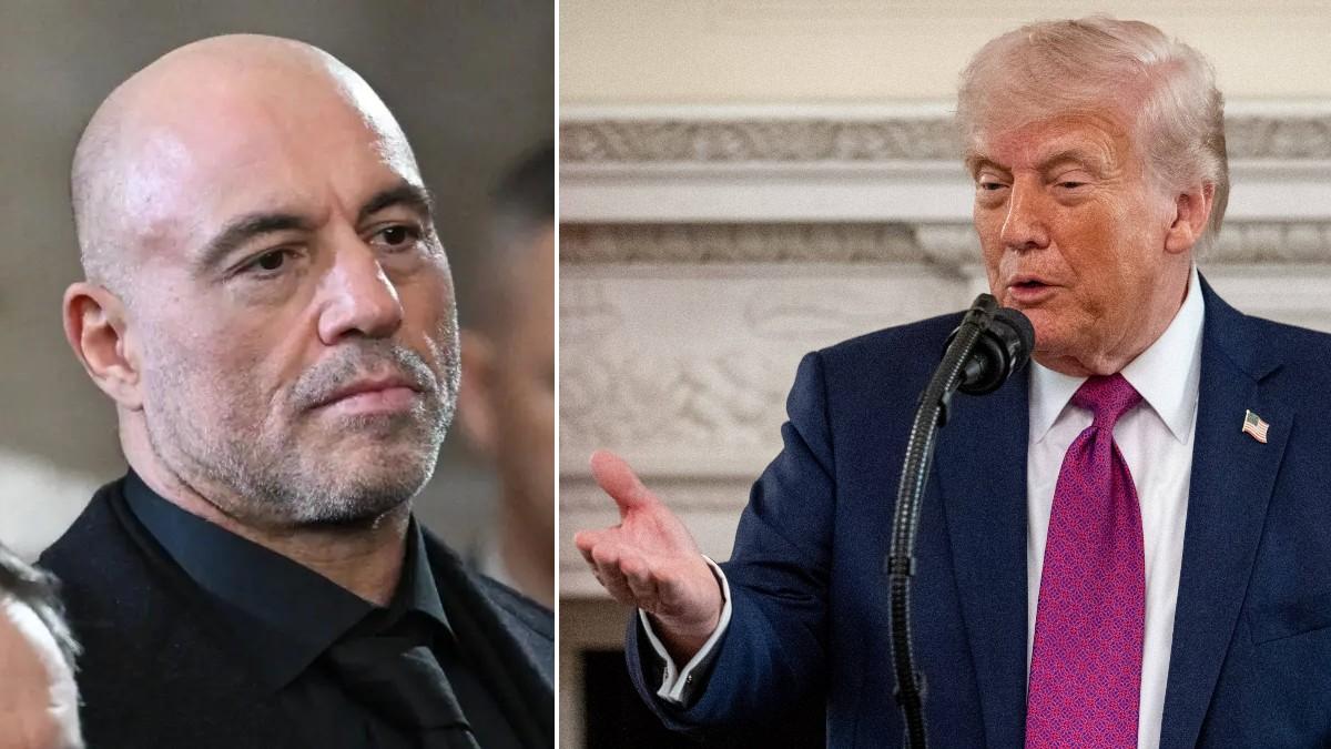 split of Joe Rogan & Donald Trump. 