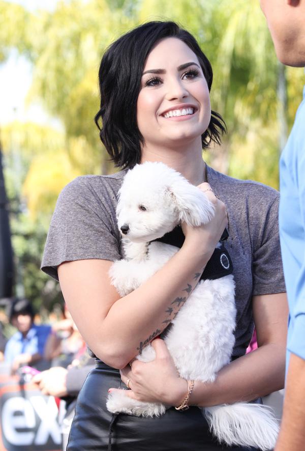 Singer Demi Lovato rocks an asymmetrical leather skirt and short black do with her dog Buddy at &#8216;Extra&#8217; in Hollywood, CA