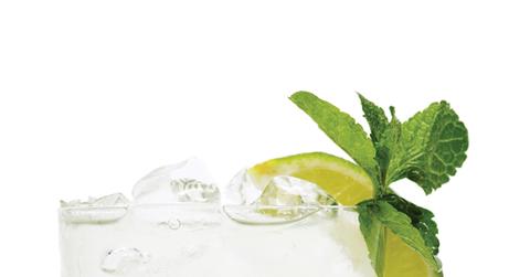 Skinnygirl Mojito