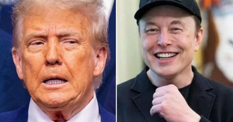 photo of Donald Trump and Elon Musk