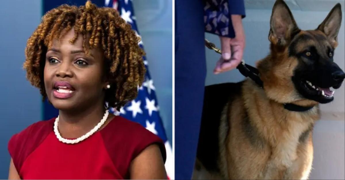 karine jean pierre refuses apologize biden family dog biting