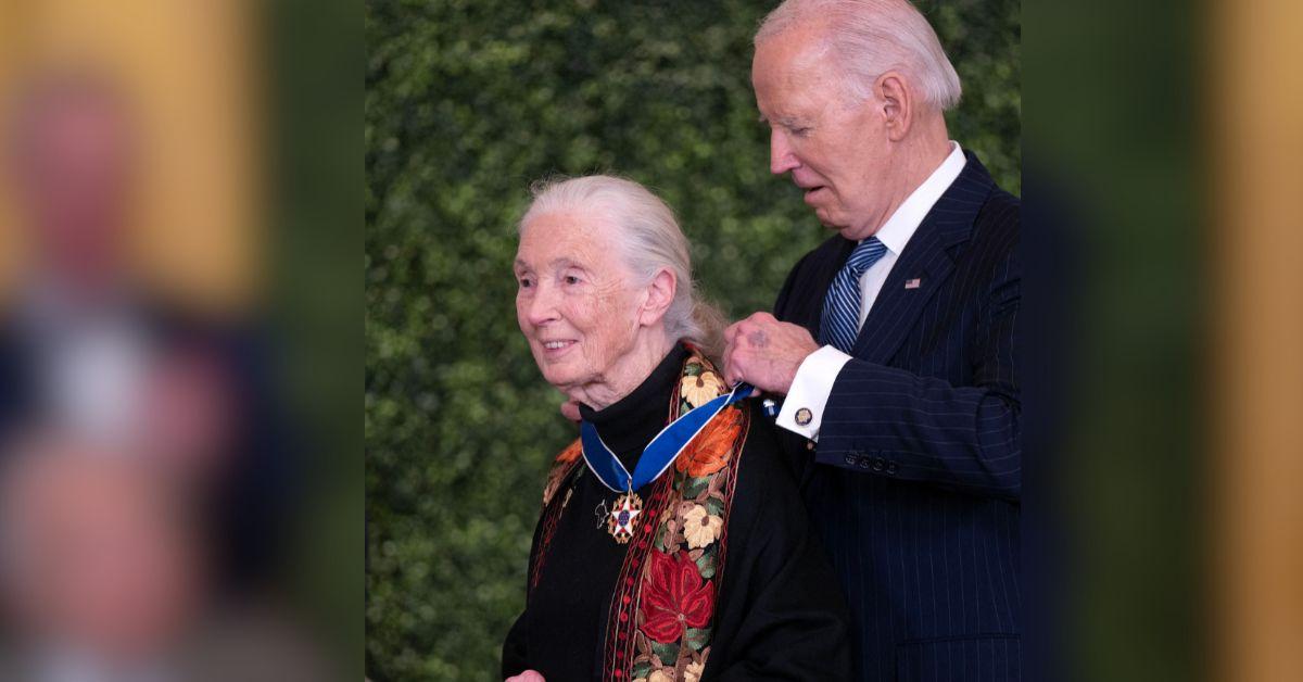 image of Jane Goodall studied monkeys. 