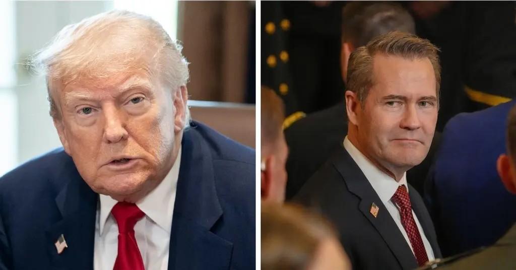 Composite photo of Donald Trump and Mike Waltz