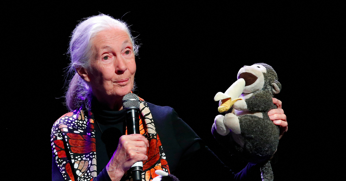celebrity deaths stars loved lost