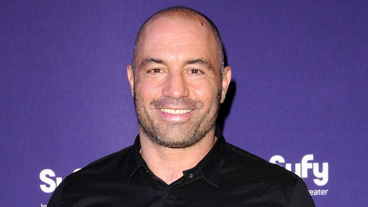 Image of 'The movie's amazing,' Joe Rogan declared.