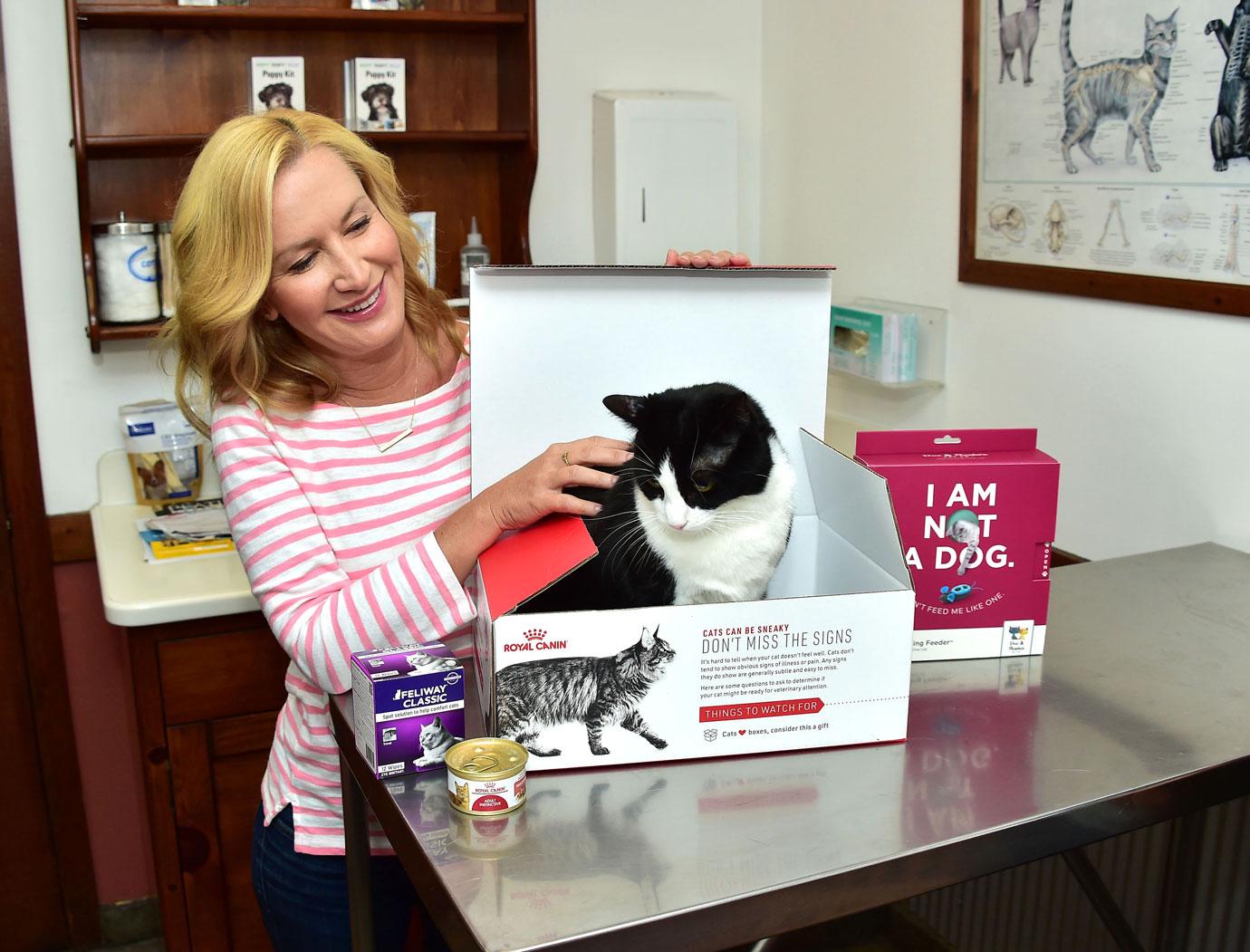 Actress Angela Kinsey takes her cat Oreo to the vet in support of Royal Canin`s annual Take Your Cat to the Vet Day campaign.