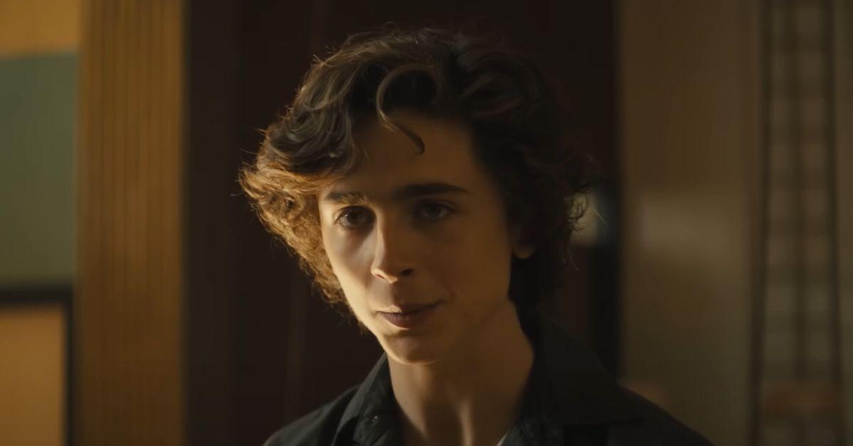 nicolas nic sheff in beautiful boy