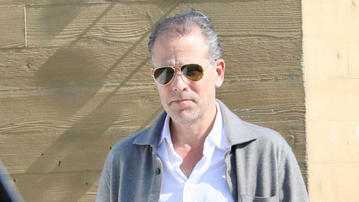 Photo of Hunter Biden proposed a 'cage match' against Donald Trump Jr.