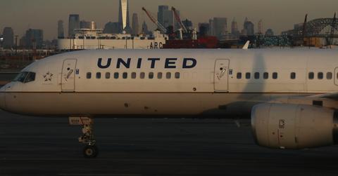 United airlines dead dog