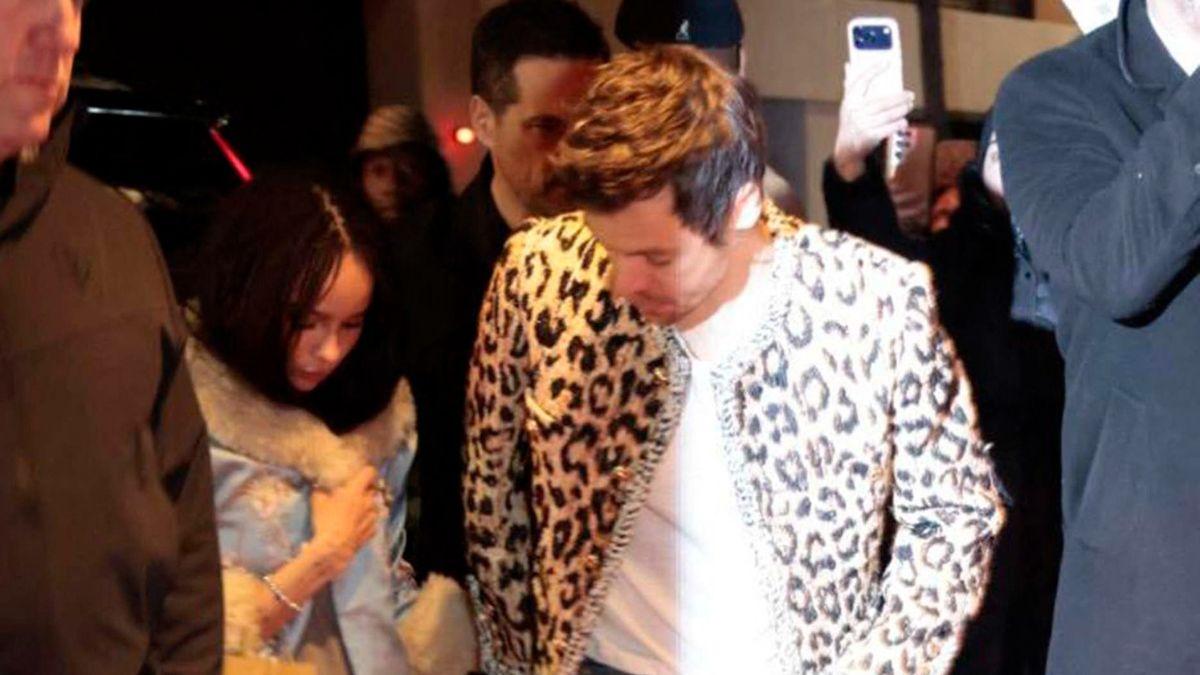 Image of Insiders said Zoë Kravitz and Harry Styles feel deeply in love.