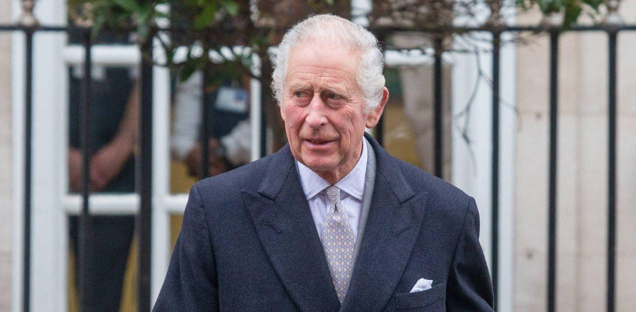 prince harry only saw king charles for  minutes after cancer diagnosis