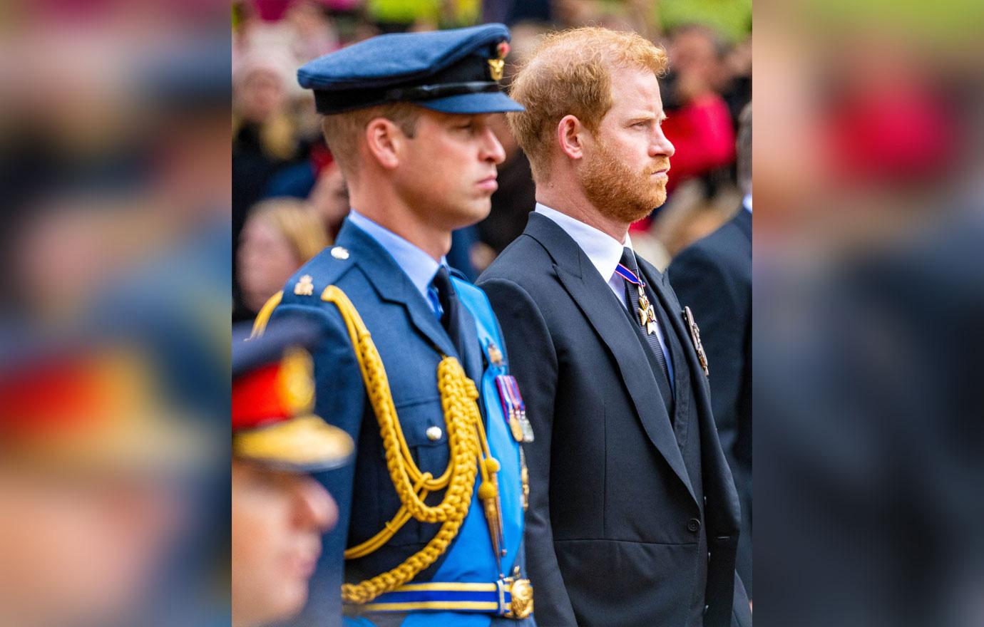 prince harry reveals he excluded stories about prince william from book