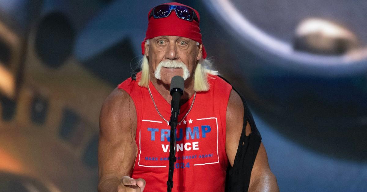 Photo of Hulk Hogan. 