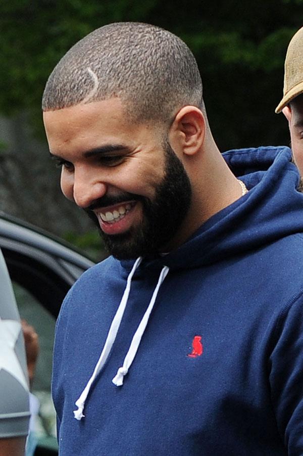 Serena williams dating drake friends approve 03