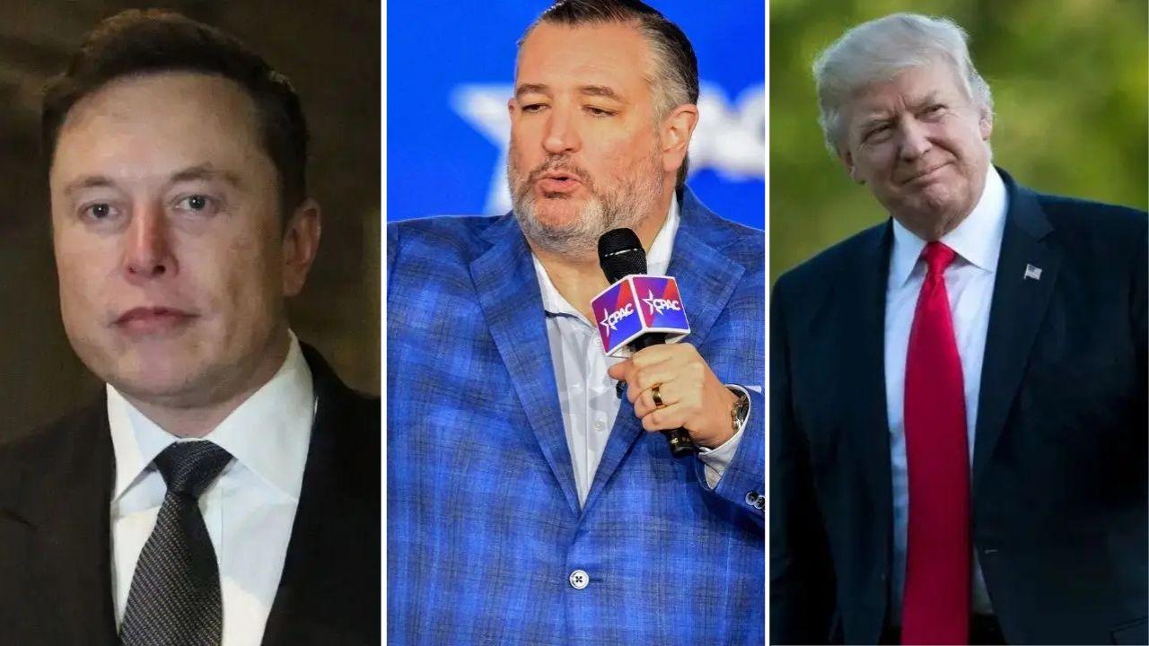 Split photo of Elon Musk & Ted Cruz & Donald Trump