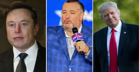 Split photo of Elon Musk & Ted Cruz & Donald Trump