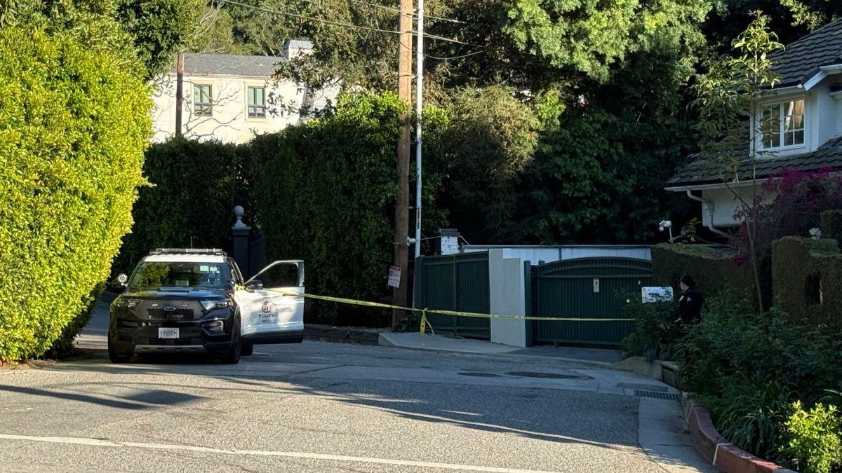 Image of The incident at Rihanna's home redefined how well a property can protect its owners.