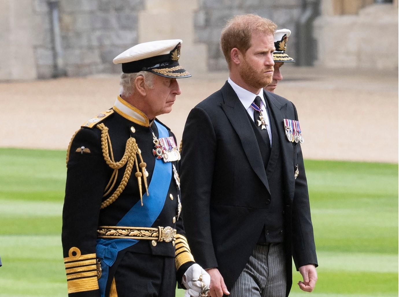 king charles prince harry