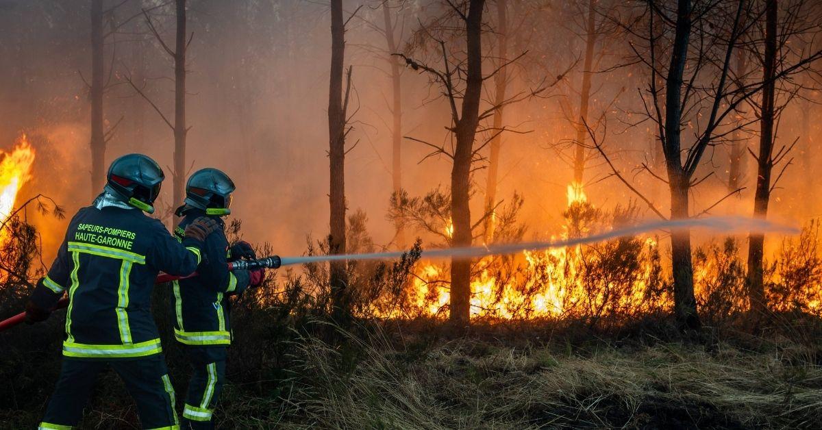 image of George and Amal Clooney evacuated their family home in Brignoles, France, as dangerous wildfires spread across Europe.