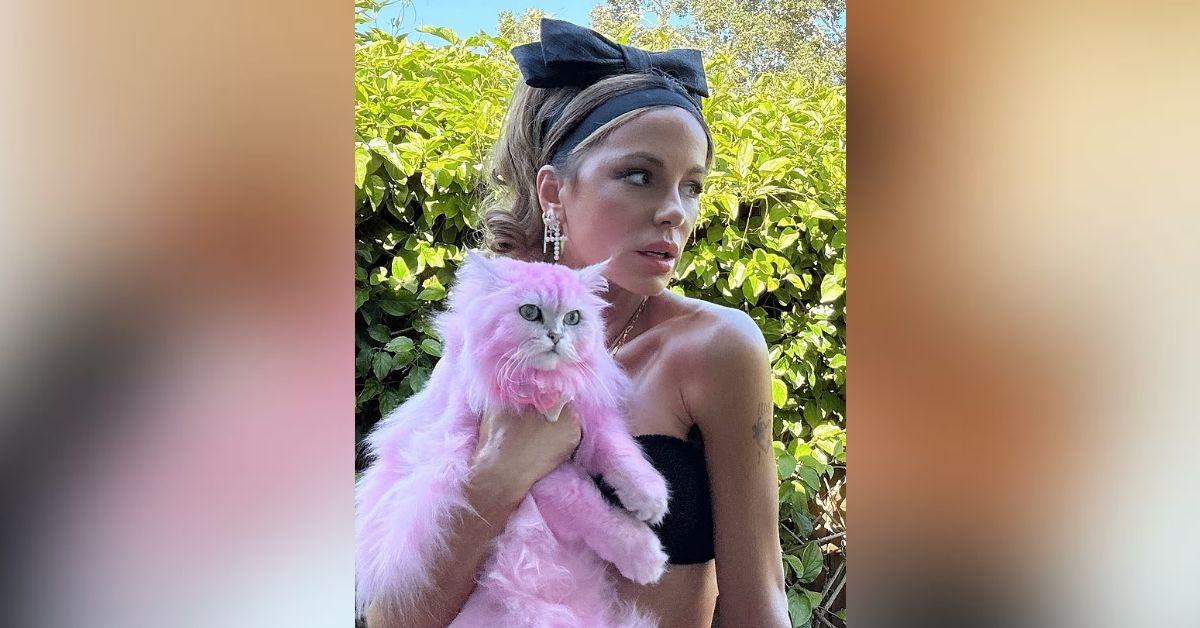 kate beckinsale sparks controversy dyeing cat fur pink photos