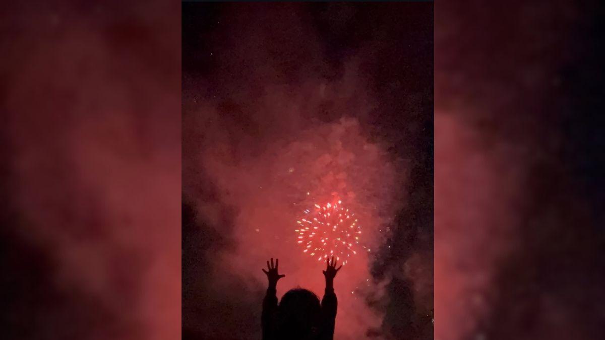 Image of Alejandra Silva and Richard Gere gave a rare insight into their family life with their Fourth of July post.