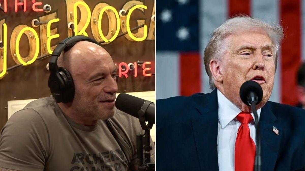 image of Joe rogan 