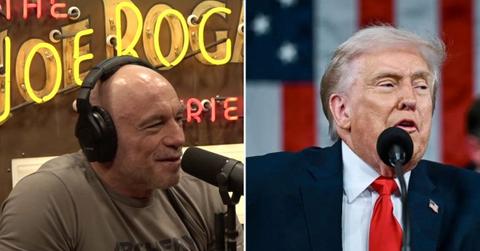 image of Joe rogan