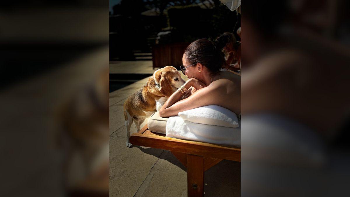 Photo of Meghan Markle's beloved rescue beagle made a cameo in the post.