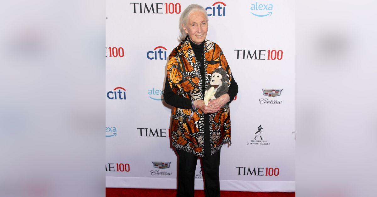image of Jane Goodall wanted to learn more about the link between monkeys and humans. 