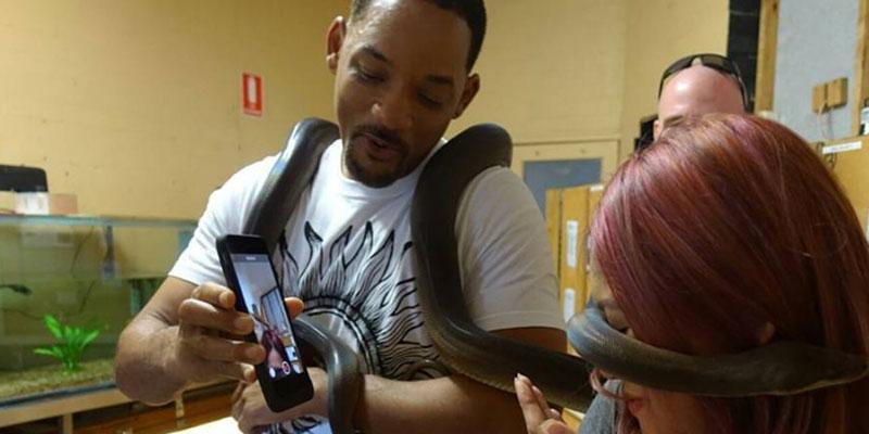 Will smith snake australia video