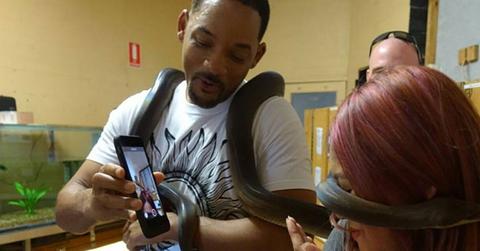 Will smith snake australia video