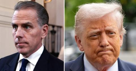 Composite photo of Hunter Biden and Donald Trump