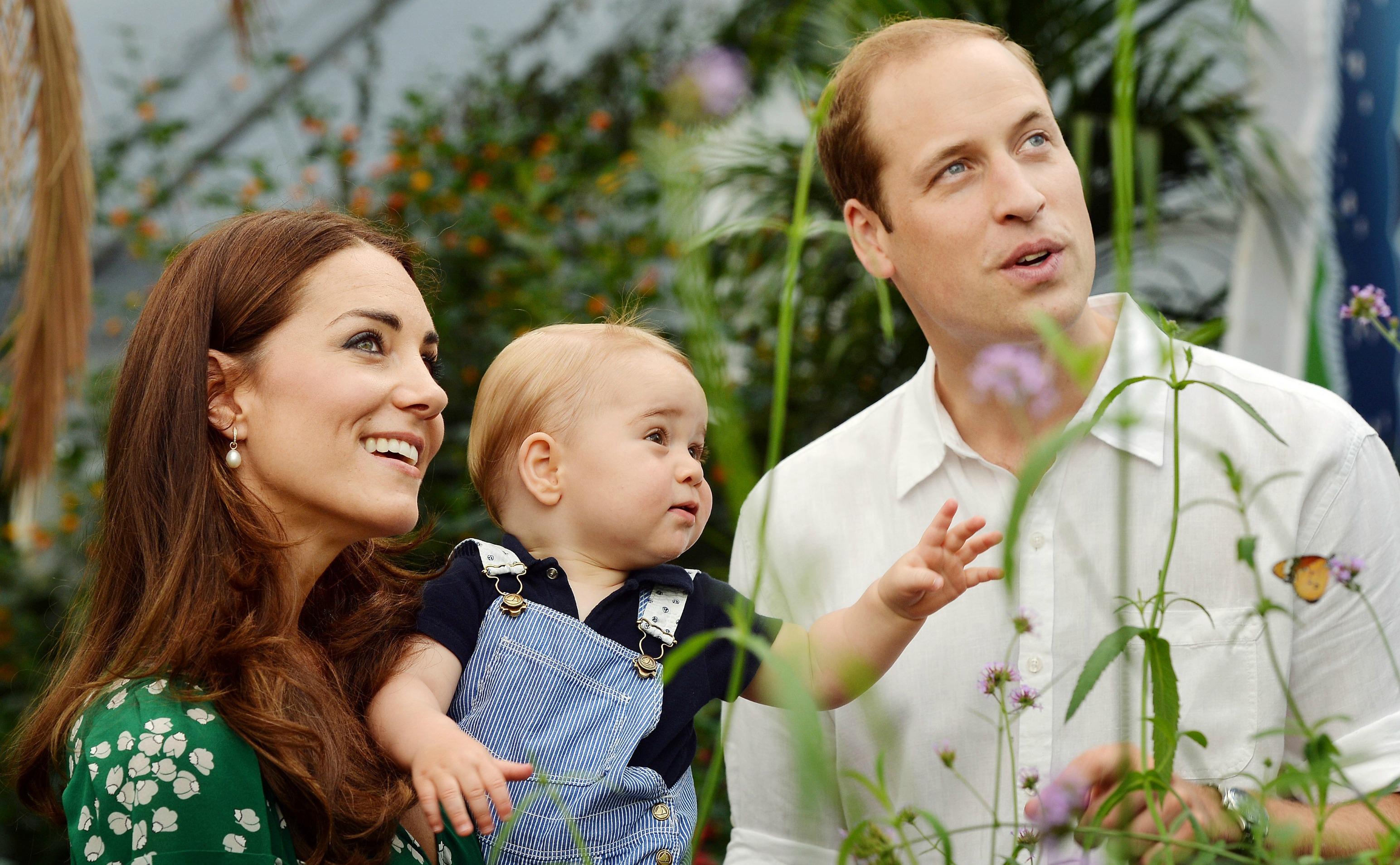 Prince George Birthday Royal Portrait 06