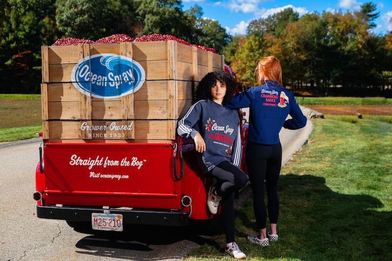 osbog coreharvest crewneck windy bog breaker