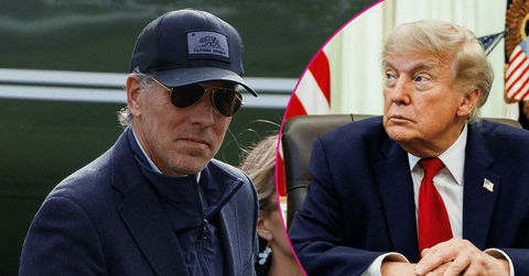 pic of Hunter Biden, Donald Trump.
