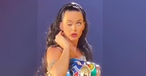 katy petty tiktok pp