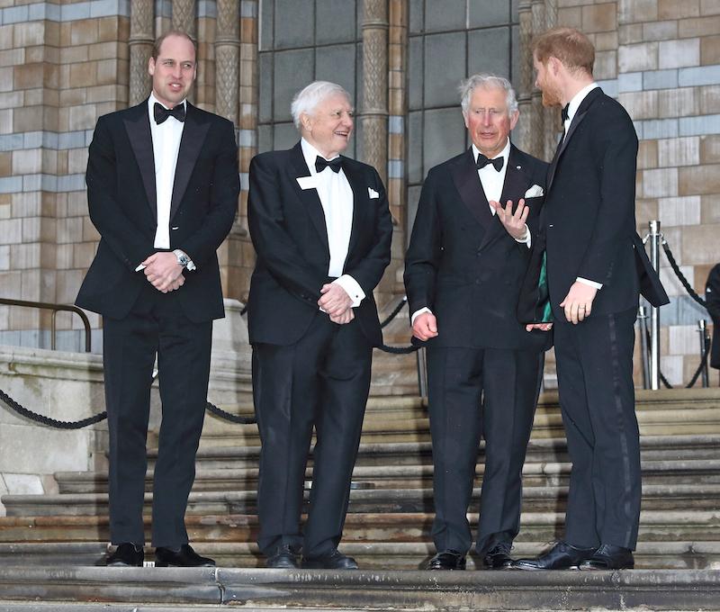 prince william charles prince harry birthday feud